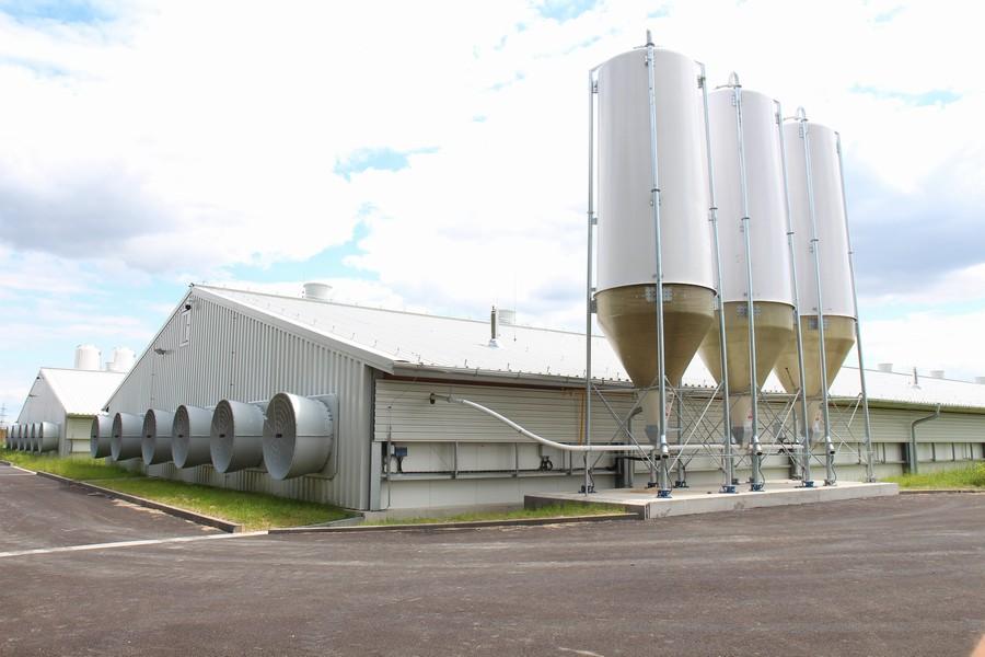 Steel Structure Poultry Feed Mill Plant